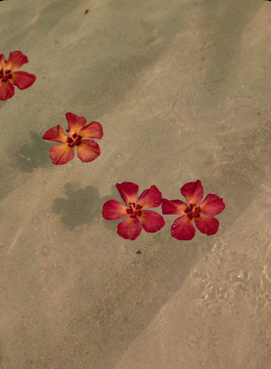 Red Flower Clay Mask